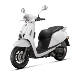 LTR 125