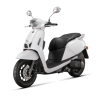LTR 125