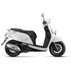 LTR 125