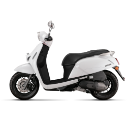 LTR 125