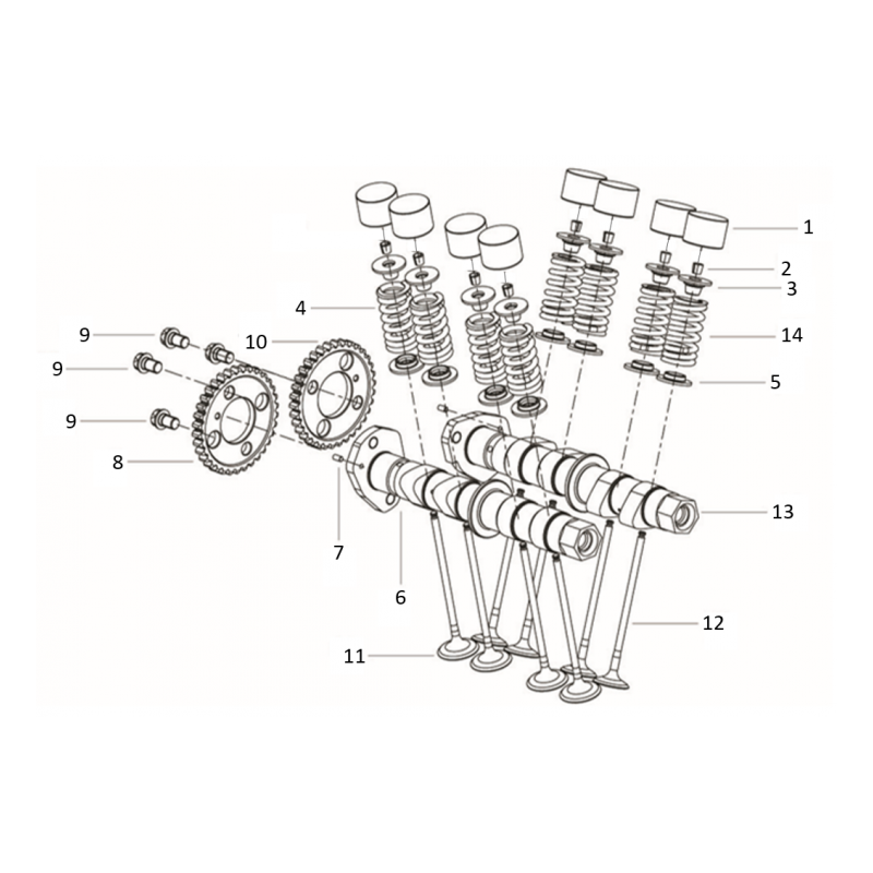 Arbre à Came / Soupapes