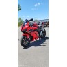 QJMOTOR SRK 800 RR 2024