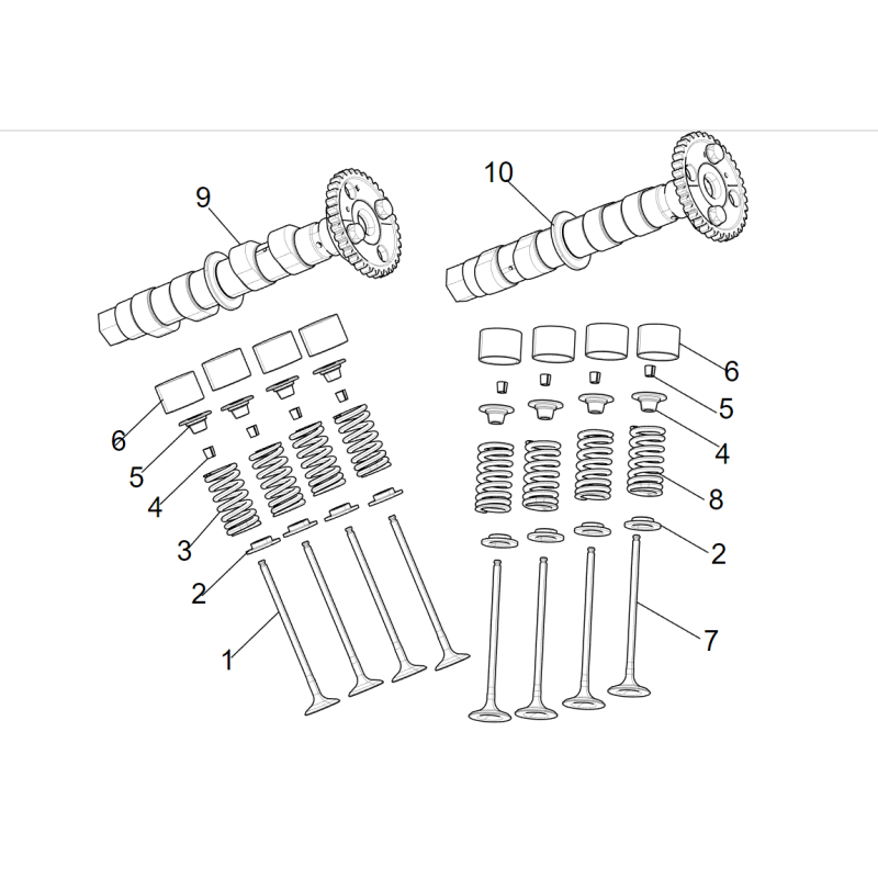 Arbre à Came / Soupapes