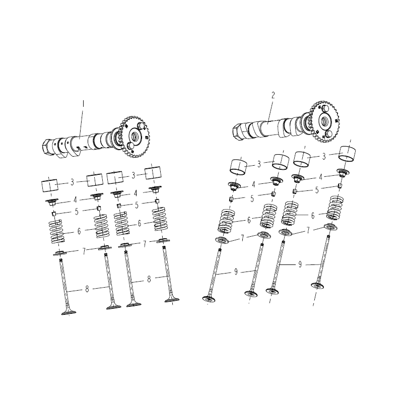 Arbre à Came / Soupapes Arrière
