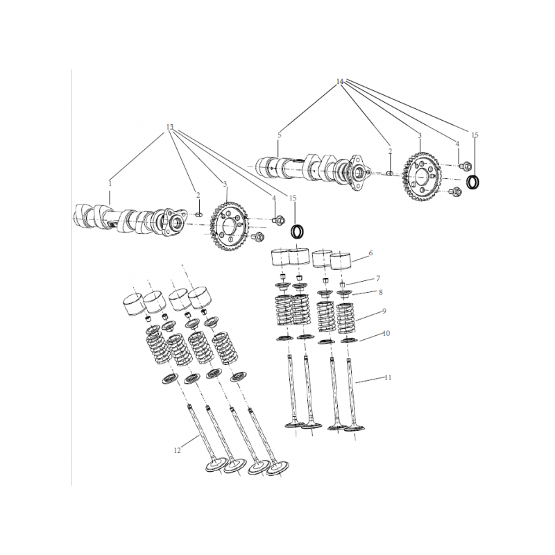 Arbre à Came / Soupapes