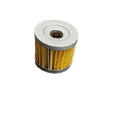 Filtre à Huile OEM QJMOTOR 125cc(160043090000)