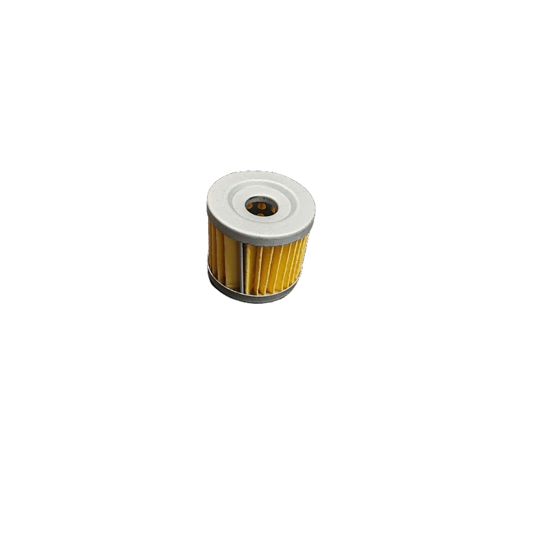Filtre à Huile OEM QJMOTOR 125cc(160043090000)