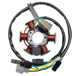 DESTOCKAGE Stator Adaptable Derbi Euro 3 (Type Ducati)