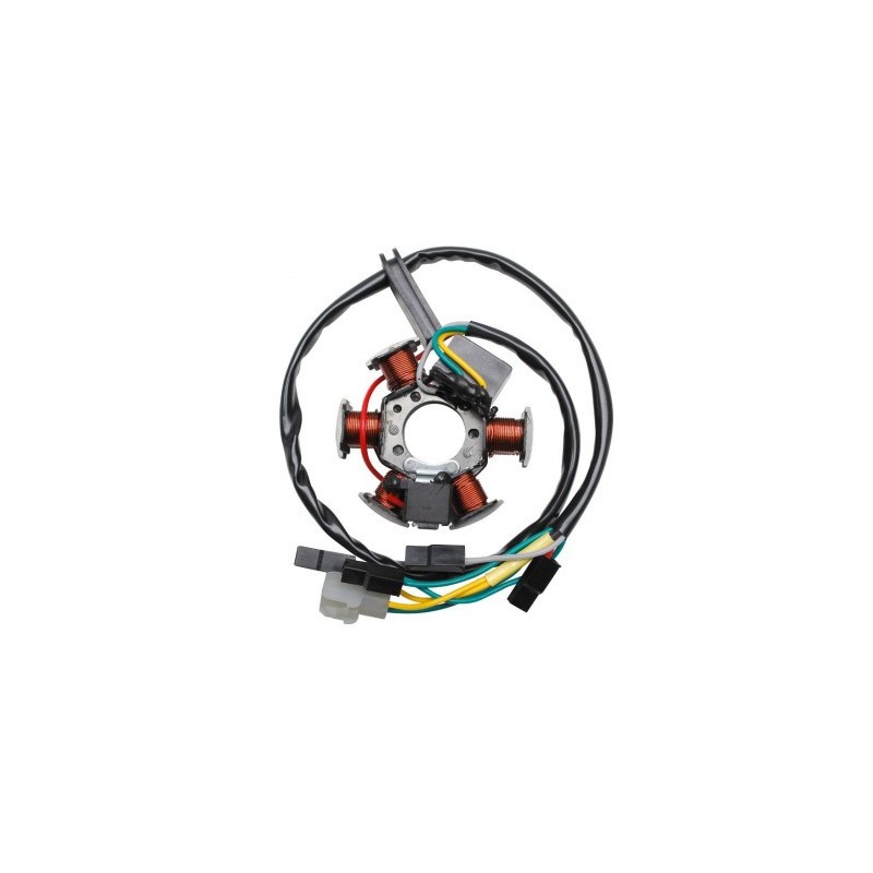 DESTOCKAGE Stator Adaptable Derbi Euro 3 (Type Ducati)