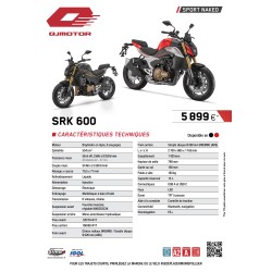 QJMOTOR SRK 600 : Le Roadster Bicylindre Ultime A2 | BS2 Moto