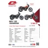 QJMOTOR SRV 125 : Le Custom Premium Permis B / A1 | BS2 Moto