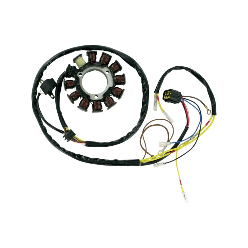 DESTOCKAGE !! Stator Rick's Electrics Quad Polaris 400/500cc 2002-2004