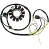 DESTOCKAGE !! Stator Rick's Electrics Quad Polaris 400/500cc 2002-2004