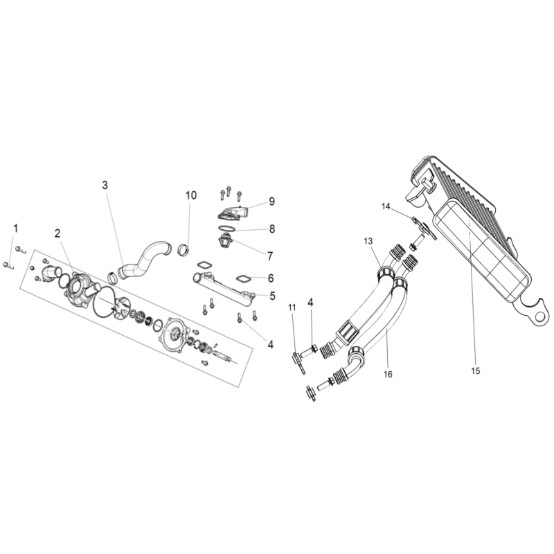 Pompe à Eau / Radiateur d'Huile