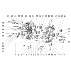Carter Moteur