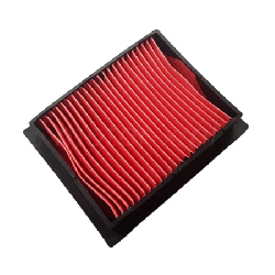 Filtre à Air OEM QJMOTOR SRK 125S